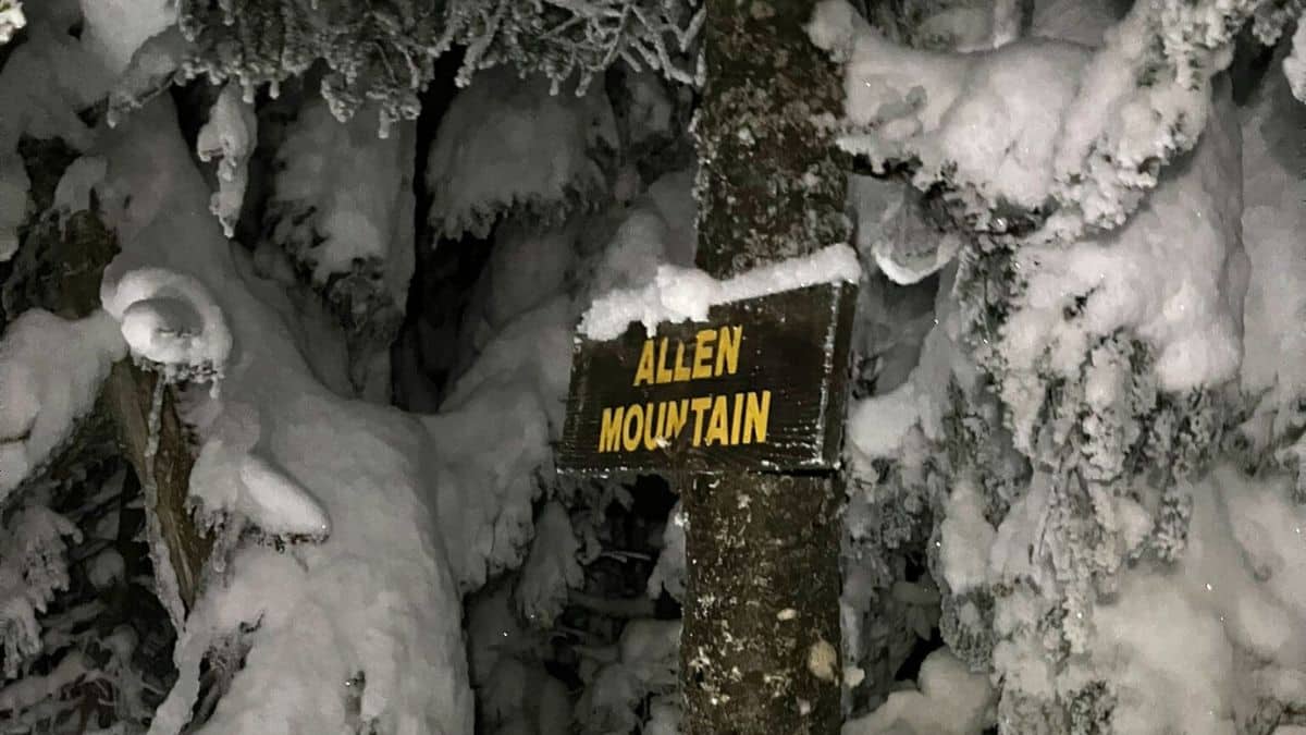 hiker hears cry for help on a mountain and solves a months long mystery