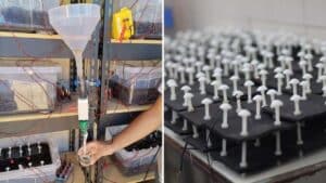 “it recharges itself” china unveils revolutionary battery powered by bacteria with 99% efficiency