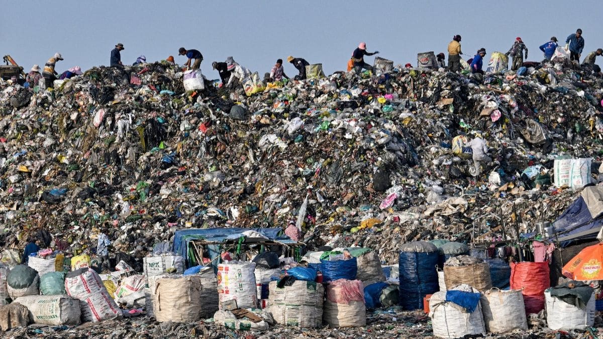 they threw this trash away for years… without knowing it was worth $8.4 billion