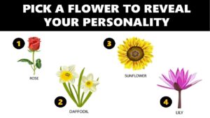 what your favorite flower says about you compressed
