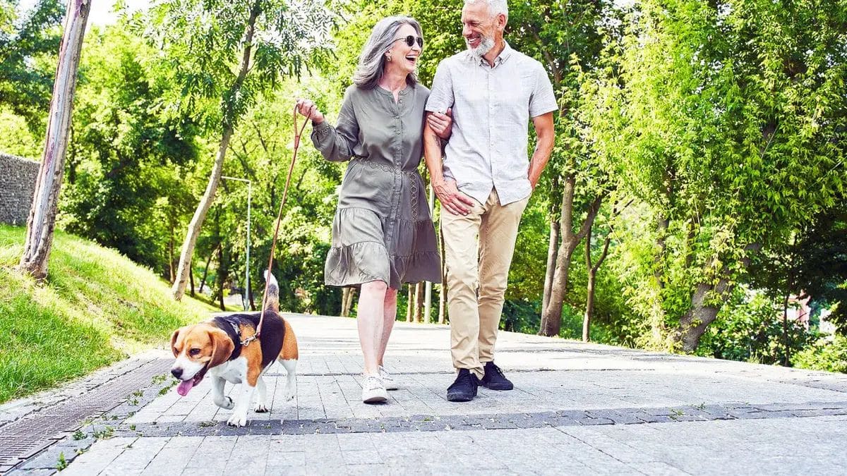 what's the real ideal distance to walk every day to get back in shape