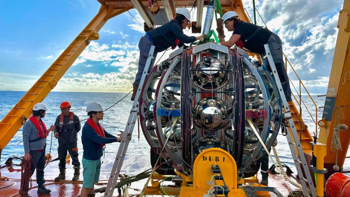 a particle from the edge of the universe detected at the bottom of the mediterranean sea