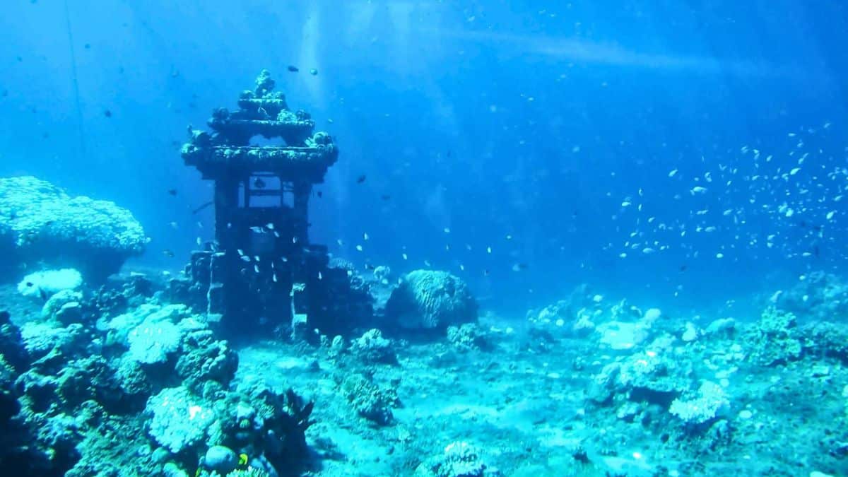 archaeologists discover a 140,000 year old sunken world beneath the ocean floor, teeming with giant beasts and a missing species