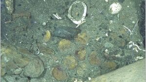 deep sea discovery 0 million treasure haul found in wwii shipwreck – the richest underwater find in history!