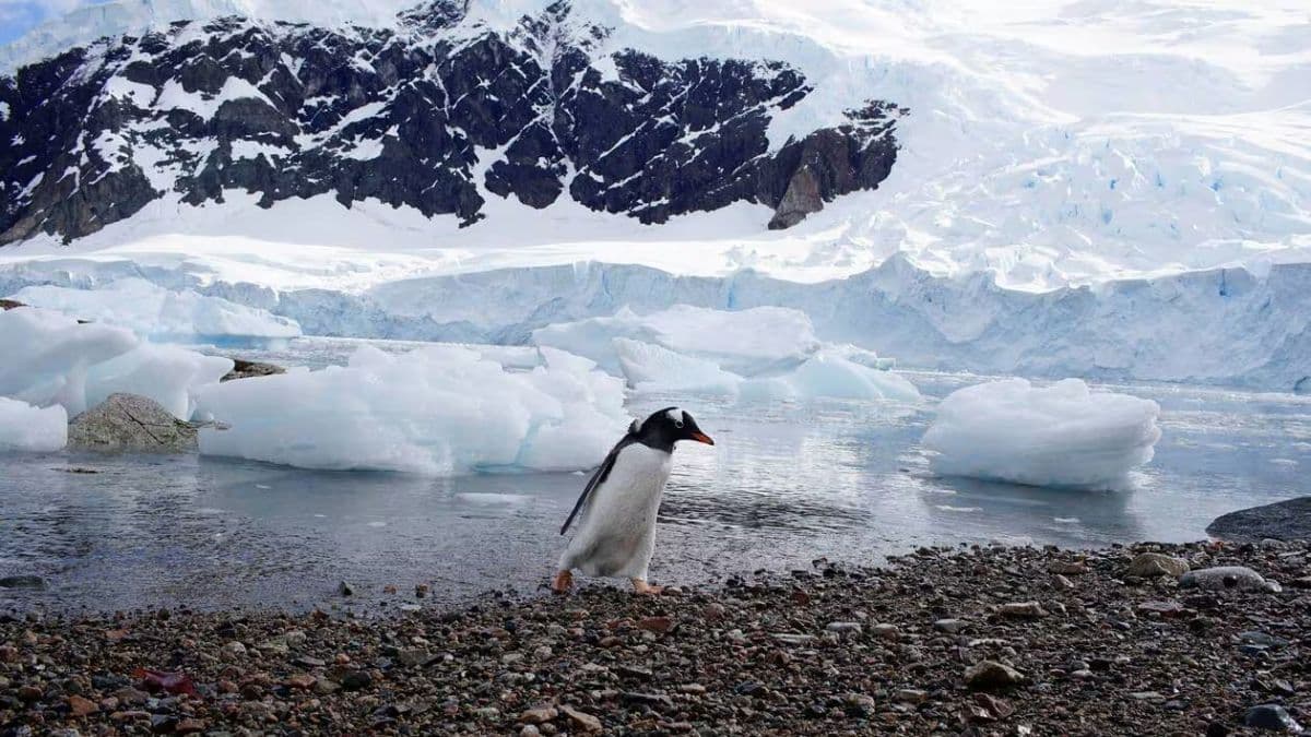 scientists just announced something worse than expected — coastal cities are going to vanish