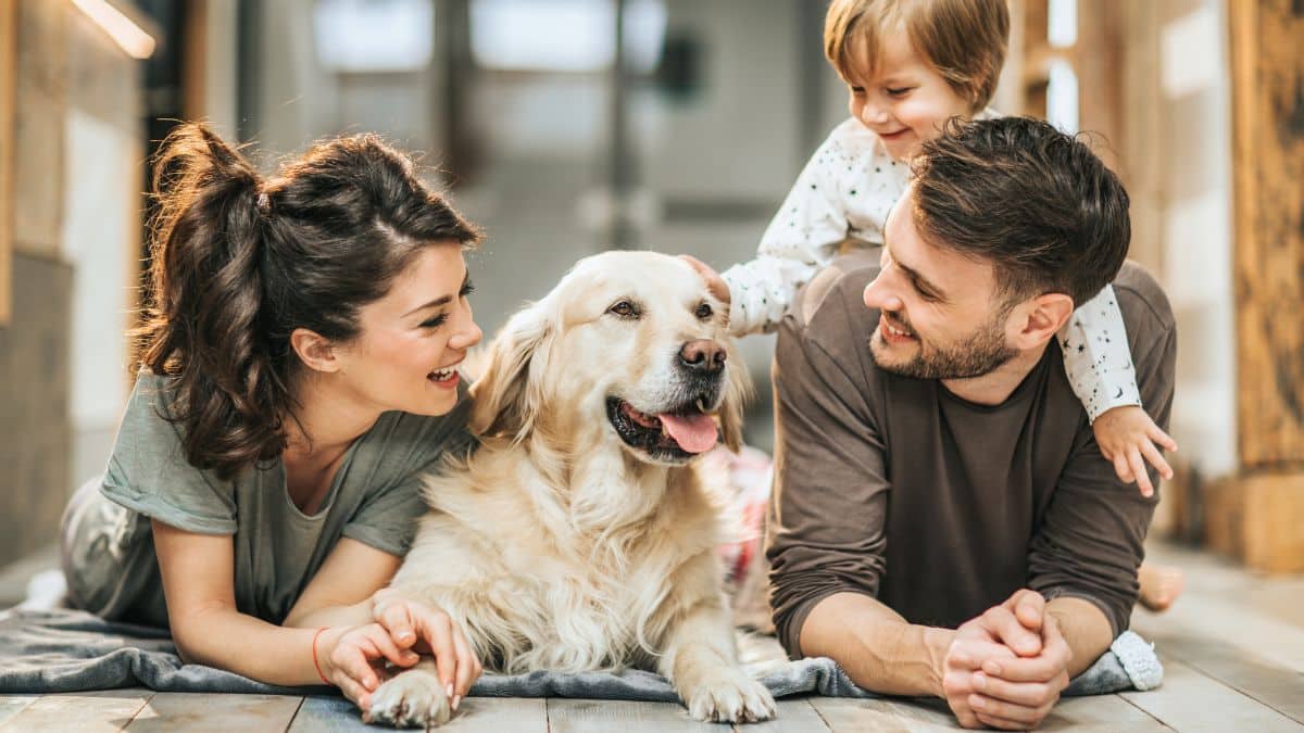 this family took in a troubled dog — and embraced his tough temperament