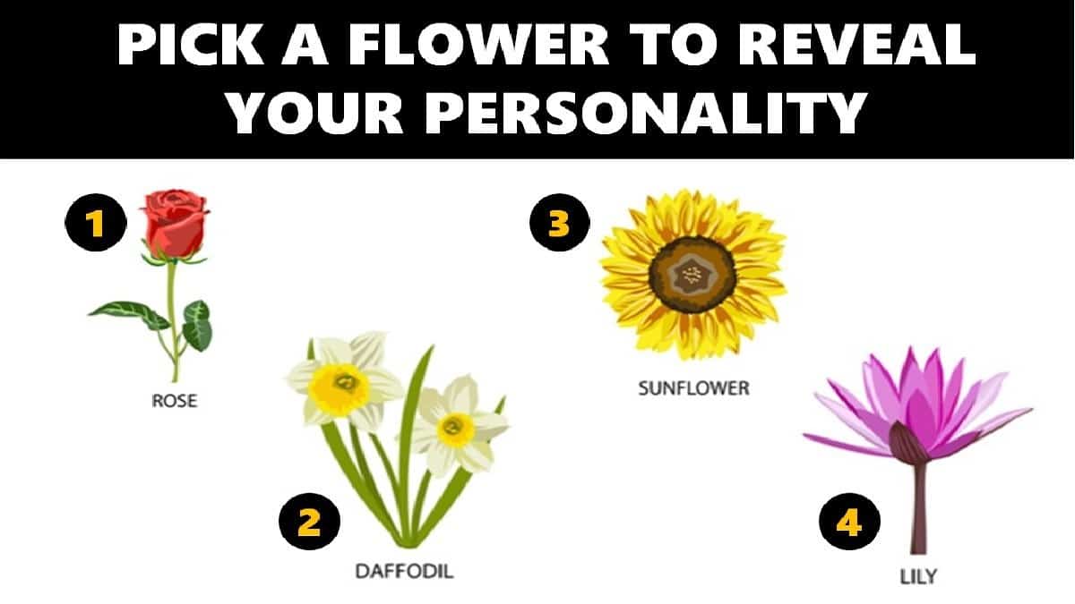 what your favorite flower says about you compressed