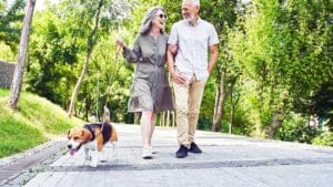 what's the real ideal distance to walk every day to get back in shape